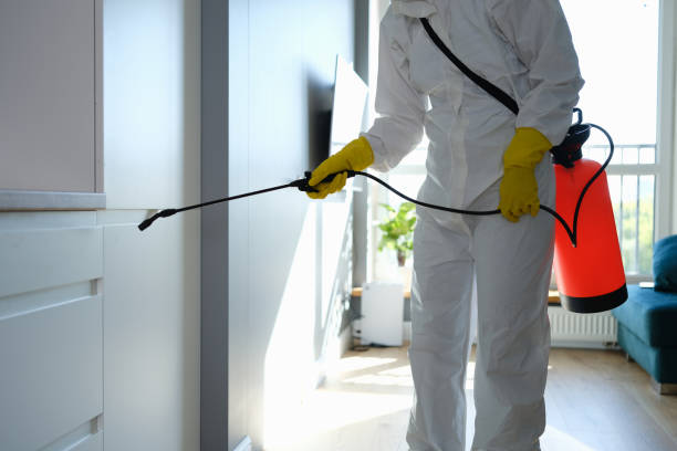Best Commercial Mold Remediation in Pecos, TX
