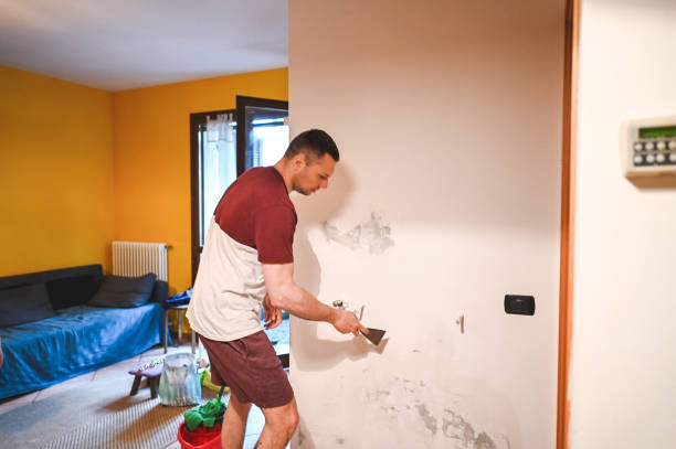 Best Post-Remediation Services in Pecos, TX